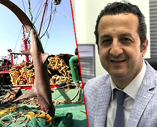 Hatay’da yakalanan köpek balığı nadir görülen tür çıktı