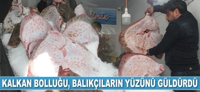 Kalkan bolluğu, balıkçıların yüzünü güldürdü