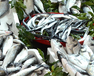 Balık tezgahlarındaki çeşitlilik artacak