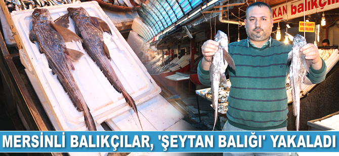 Mersinli balıkçılar, Atlas Okyanusu’nda yaşayan ‘şeytan balığı’ yakaladı