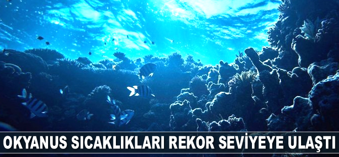 Okyanus sıcaklıkları rekor seviyeye ulaştı