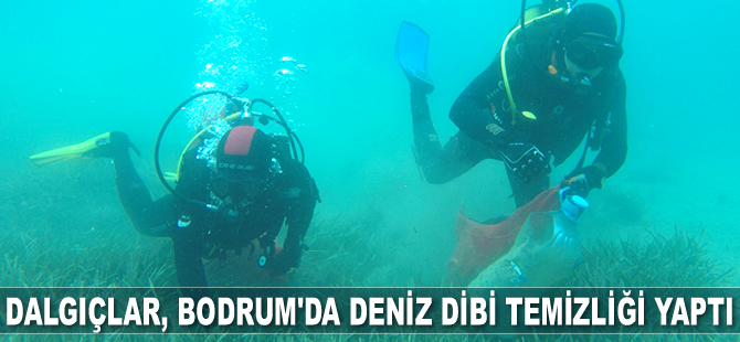 Dalgıçlar, Bodrum'da deniz dibi temizliği yaptı