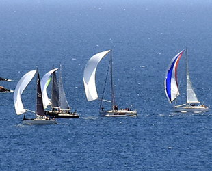 BAYK Kış Trofesi 5. Ayak Yarışları tamamlandı