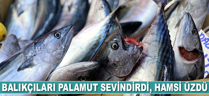 Balıkçıları palamut sevindirdi, hamsi üzdü