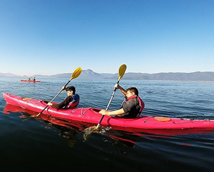 Deniz kaplumbağaları için 25 bin metre kürek çekecekler