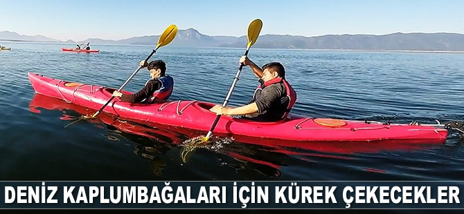 Deniz kaplumbağaları için 25 bin metre kürek çekecekler