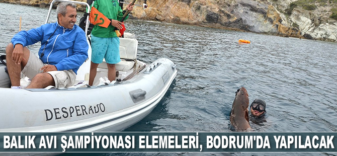 Zıpkınla Balık Avı Türkiye Şampiyonası elemeleri, Bodrum’da yapılacak