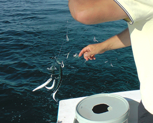 Amatör balıkçılara ‘boy limiti’ uyarı geldi