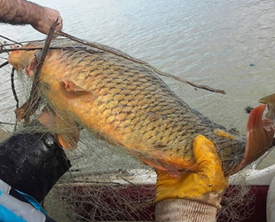 Kaçak avda kullanılan bin metre ağ ele geçirildi