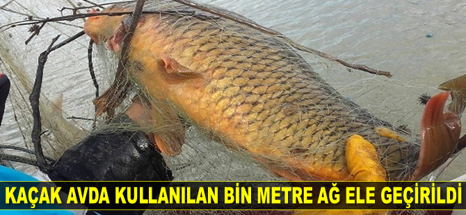 Kaçak avda kullanılan bin metre ağ ele geçirildi