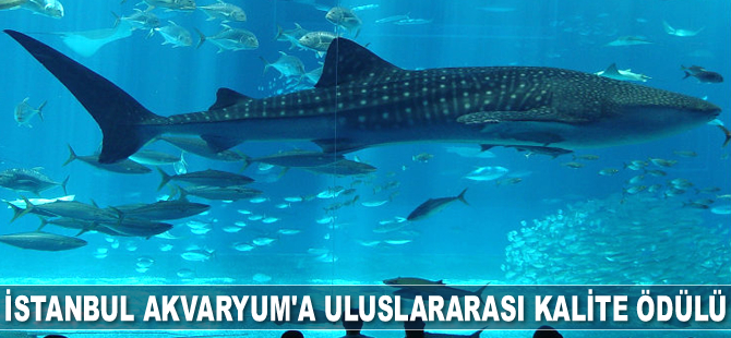 İstanbul Akvaryum, ‘Uluslararası Kalite Ödülü’ne layık görüldü