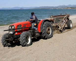 Çalış Plajı, caretta carettalar için temizleniyor