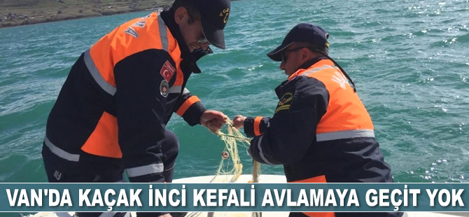 Van’da kaçak avlanmış inci kefali ve 700 metre ağ ele geçirildi