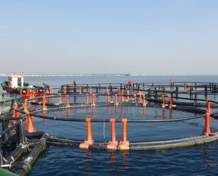 Mersin Barosu, ‘Balık Çiftlikleri Projesi’ne tepki gösterdi