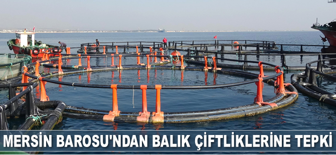 Mersin Barosu, ‘Balık Çiftlikleri Projesi’ne tepki gösterdi