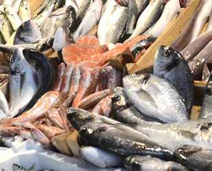Türkiye’de denizlerde avlanan balık miktarı düştü