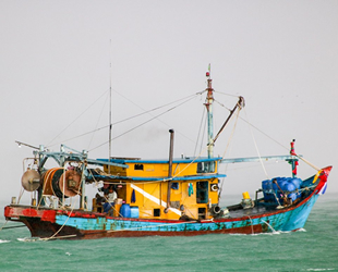 Malezya'da kaçak avlanılan teknede bir ton balık ele geçirildi