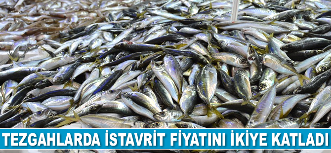 İstavrit fiyatını ikiye katladı
