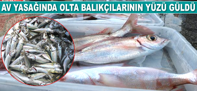 Av yasağında olta balıkçılarının yüzü güldü