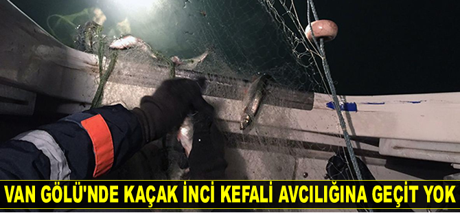 Van Gölü'nde kaçak avlanan 250 kilo inci kefali ele geçirildi