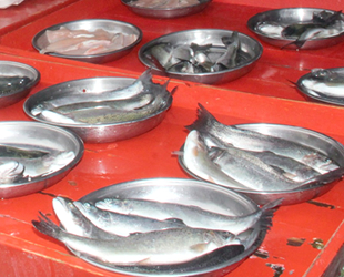 Balık av sezonu bitti, fiyatlar yükseldi