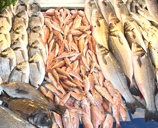 Su ürünleri ihracatından 582 milyon dolar gelir sağlandı