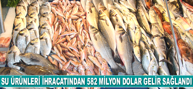 Su ürünleri ihracatından 582 milyon dolar gelir sağlandı
