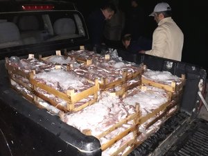 Karina’da kaçak trol avcılığı yapanlara 49 bin lira ceza kesildi