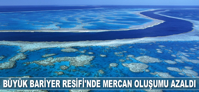 Büyük Bariyer Resifi'nde mercan oluşumu yüzde 89 azaldı