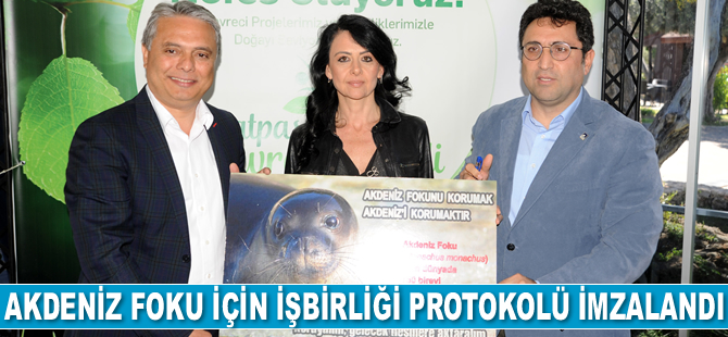 Akdeniz foku için işbirliği protokolü imzalandı