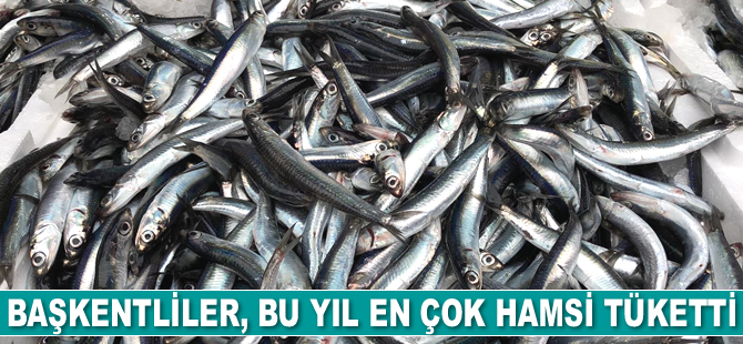Av sezonu boyunca Ankaralılar, 11 bin 500 ton balık tüketti