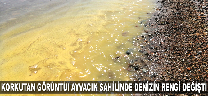 Ayvacık sahilinde denizin rengi değişti