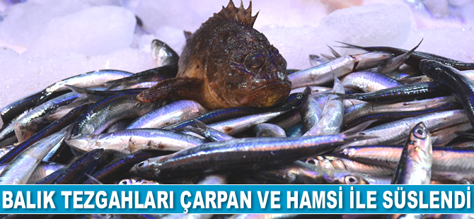 Balık tezgahları çarpan ve hamsi ile süslendi