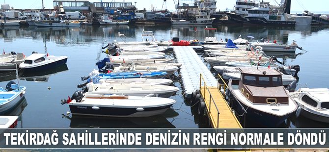 Tekirdağ sahillerinde denizin rengi normale döndü