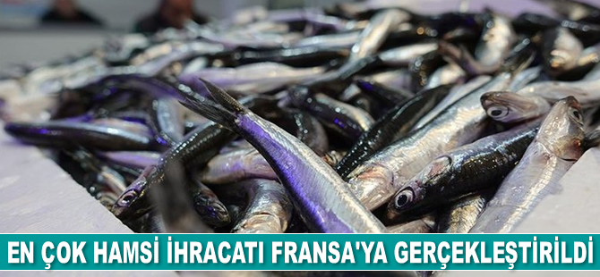 Türkiye'de en çok hamsi Fransa’ya ihraç edildi