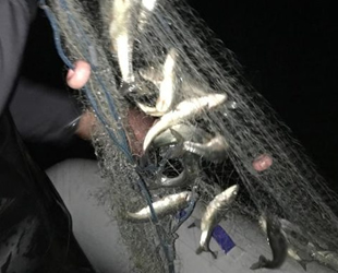 Van Gölü'nde 850 metre misina ağı ele geçirildi