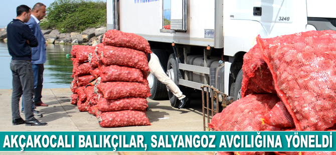 Akçakocalı balıkçılar, salyangoz avcılığına yöneldi