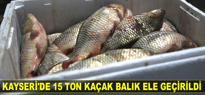 Kayseri’de 15 ton kaçak balık ele geçirildi