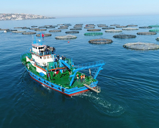Trabzon, su ürünlerinde yıllık 20 bin ton üretim hedefliyor