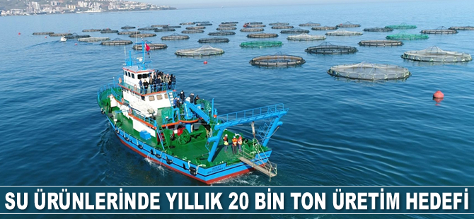 Trabzon, su ürünlerinde yıllık 20 bin ton üretim hedefliyor