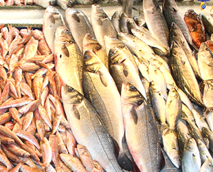 Su ürünlerinde 1,5 milyar dolarlık ihracat hedefleniyor