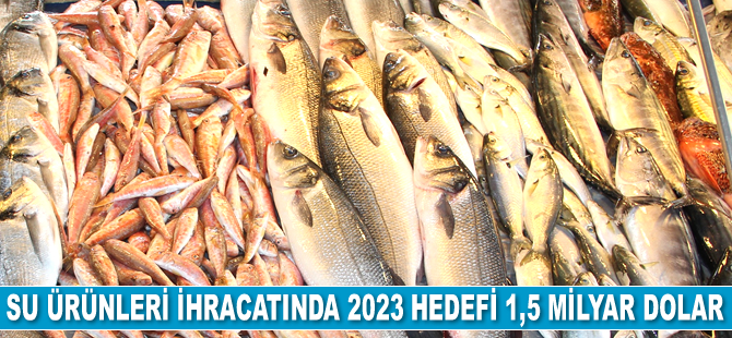 Su ürünlerinde 1,5 milyar dolarlık ihracat hedefleniyor