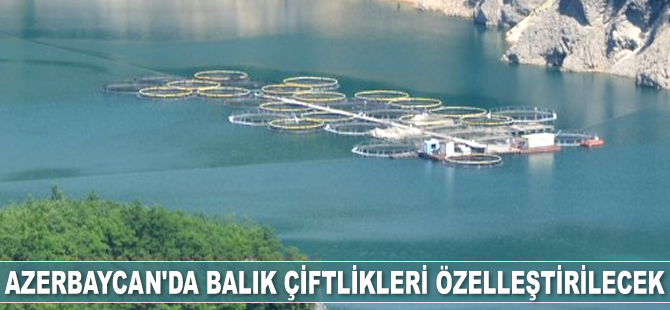 Azerbaycan'da balık çiftlikleri özelleştirilecek