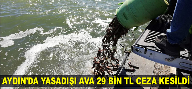 Aydın’da yasadışı ava 29 bin TL ceza kesildi