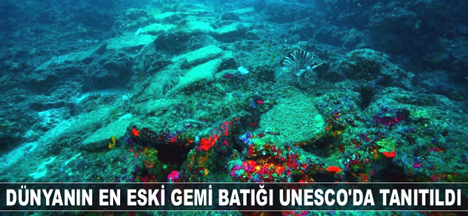 Türkiye'de bulunan dünyanın en eski gemi batığı UNESCO'da tanıtıldı
