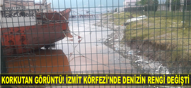 İzmit Körfezi'nde denizin rengi değişti