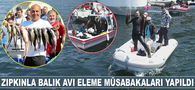 Zıpkınla Balık Avı Türkiye Şampiyonası eleme müsabakaları yapıldı