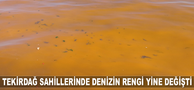 Tekirdağ sahillerinde denizin rengi yine değişti