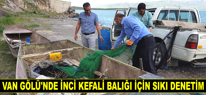 Van’da inci kefali balığı için sıkı denetimler sürüyor
