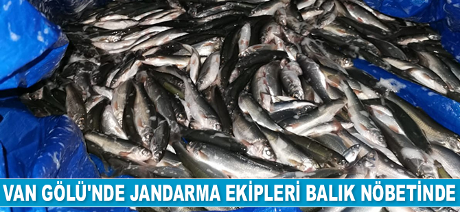 Van’da kaçak avcılık yapanlara 6 bin 540 TL para cezası kesildi